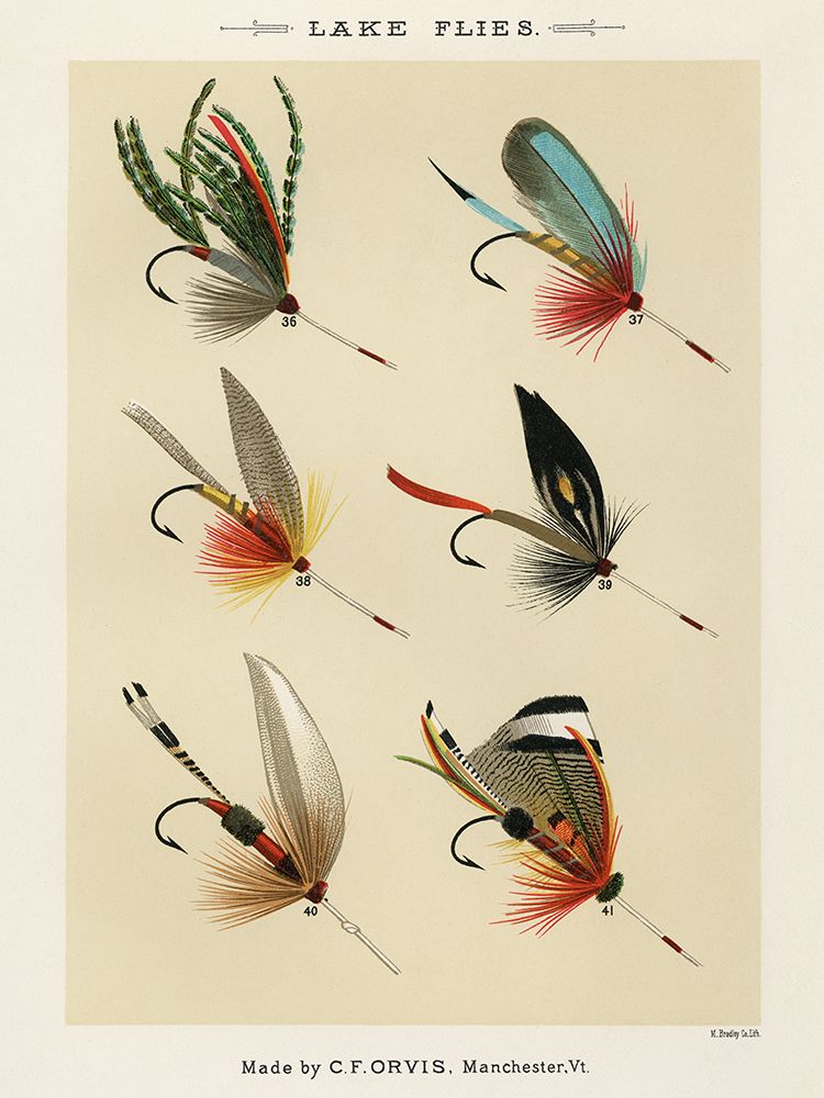 Lake Fishing Flies III from Favorite Flies and Their Histories art print by Mary Orvis Marbury for $57.95 CAD