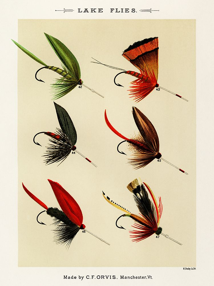 Lake Fishing Flies IV from Favorite Flies and Their Histories art print by Mary Orvis Marbury for $57.95 CAD