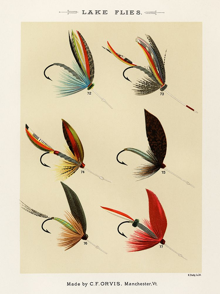 Lake Fishing Flies V from Favorite Flies and Their Histories art print by Mary Orvis Marbury for $57.95 CAD