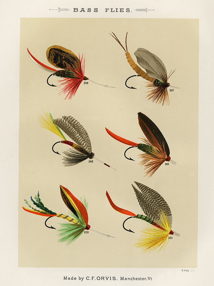 Bass Fishing Flies VII from Favorite Flies and Their Histories art print by Mary Orvis Marbury for $57.95 CAD
