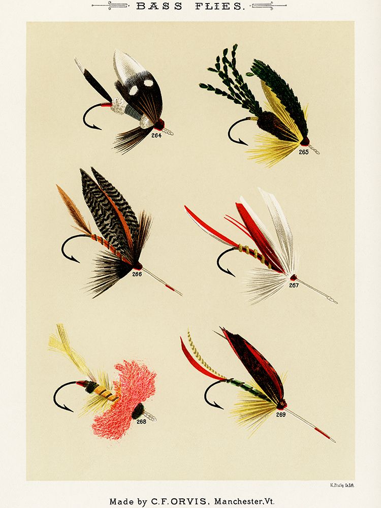 Bass Fishing Flies VIII from Favorite Flies and Their Histories art print by Mary Orvis Marbury for $57.95 CAD