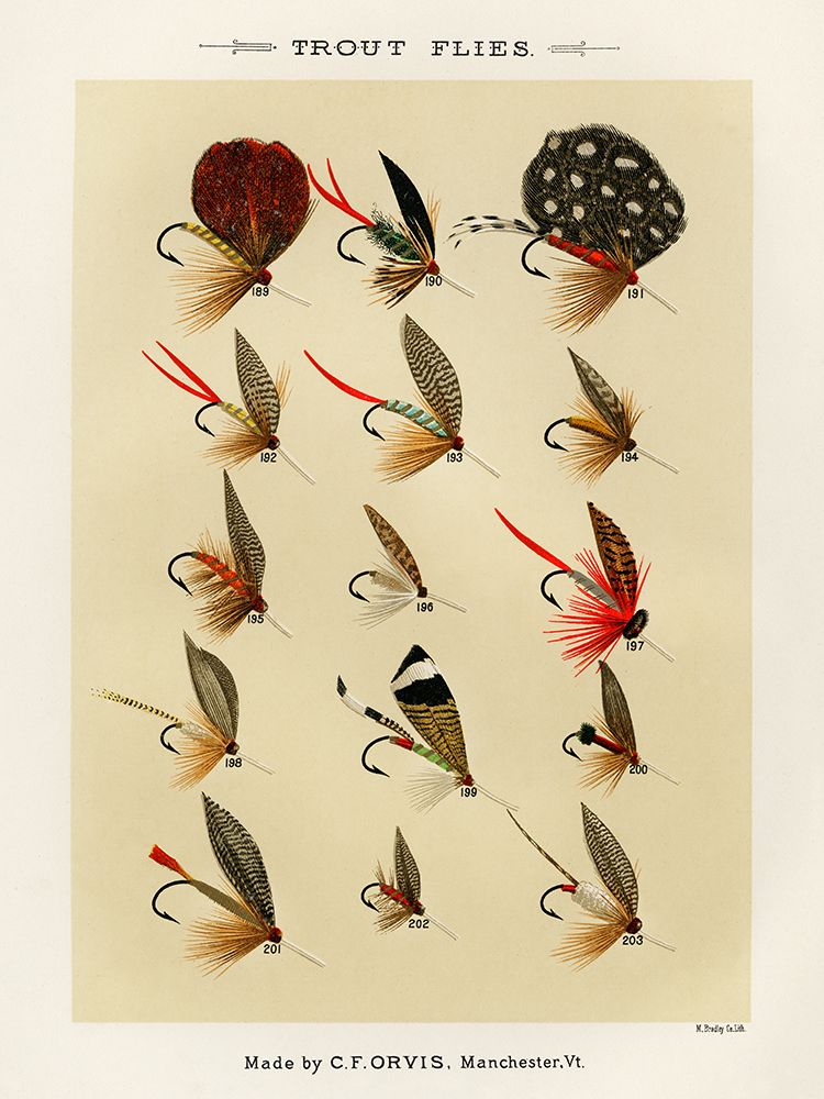 Trout Fishing Flies III from Favorite Flies and Their Histories art print by Mary Orvis Marbury for $57.95 CAD