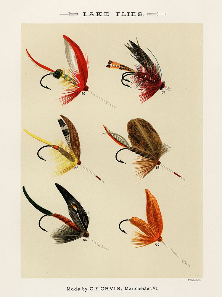 Lake Fishing Flies VI from Favorite Flies and Their Histories art print by Mary Orvis Marbury for $57.95 CAD