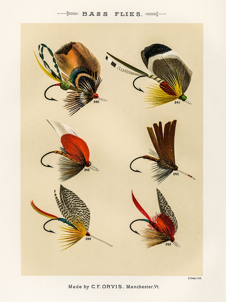 Bass Fishing Flies IX from Favorite Flies and Their Histories art print by Mary Orvis Marbury for $57.95 CAD