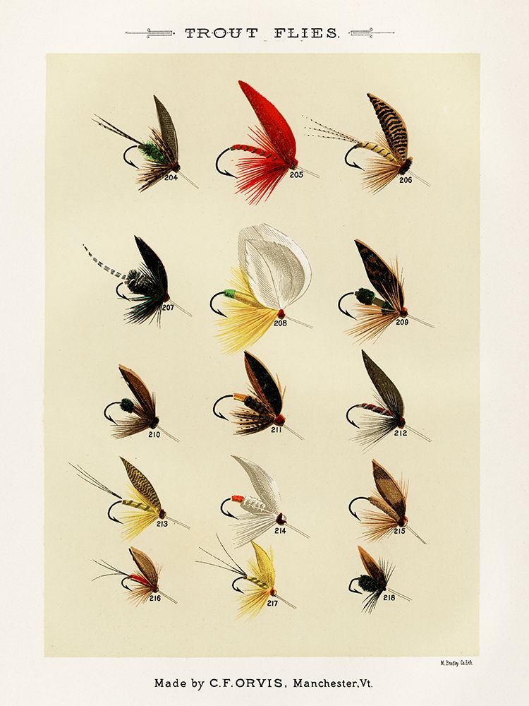 Trout Fishing Flies IV from Favorite Flies and Their Histories art print by Mary Orvis Marbury for $57.95 CAD