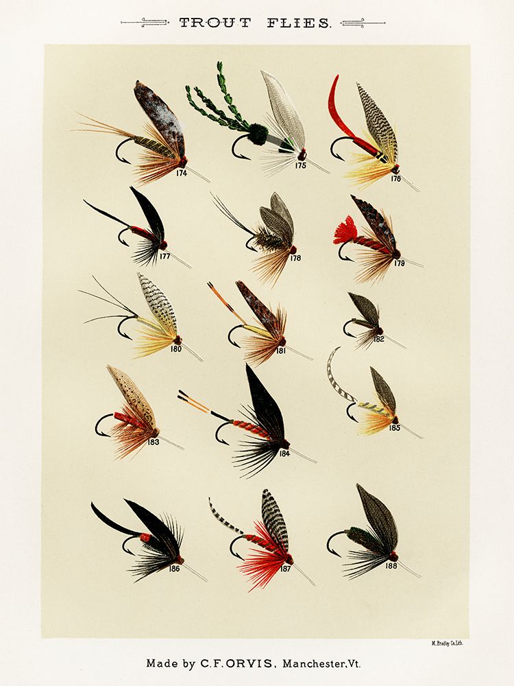 Trout Fishing Flies V from Favorite Flies and Their Histories art print by Mary Orvis Marbury for $57.95 CAD