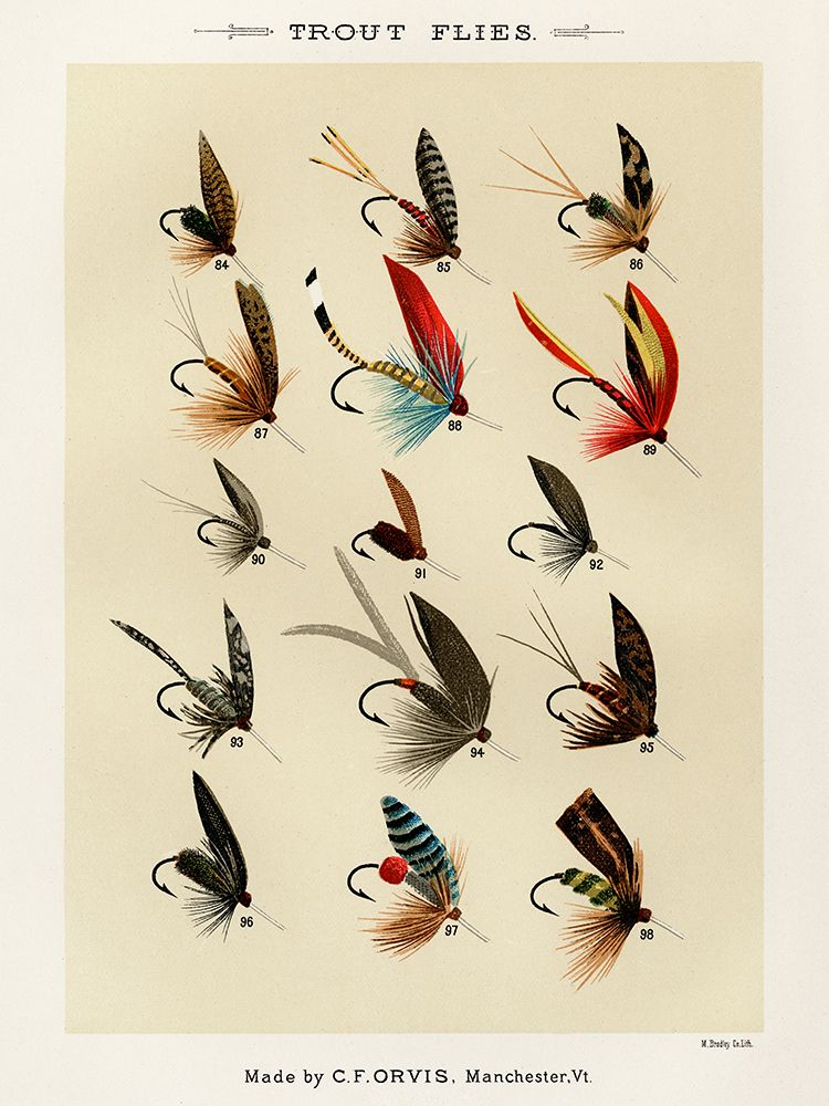 Trout Fishing Flies VI from Favorite Flies and Their Histories art print by Mary Orvis Marbury for $57.95 CAD