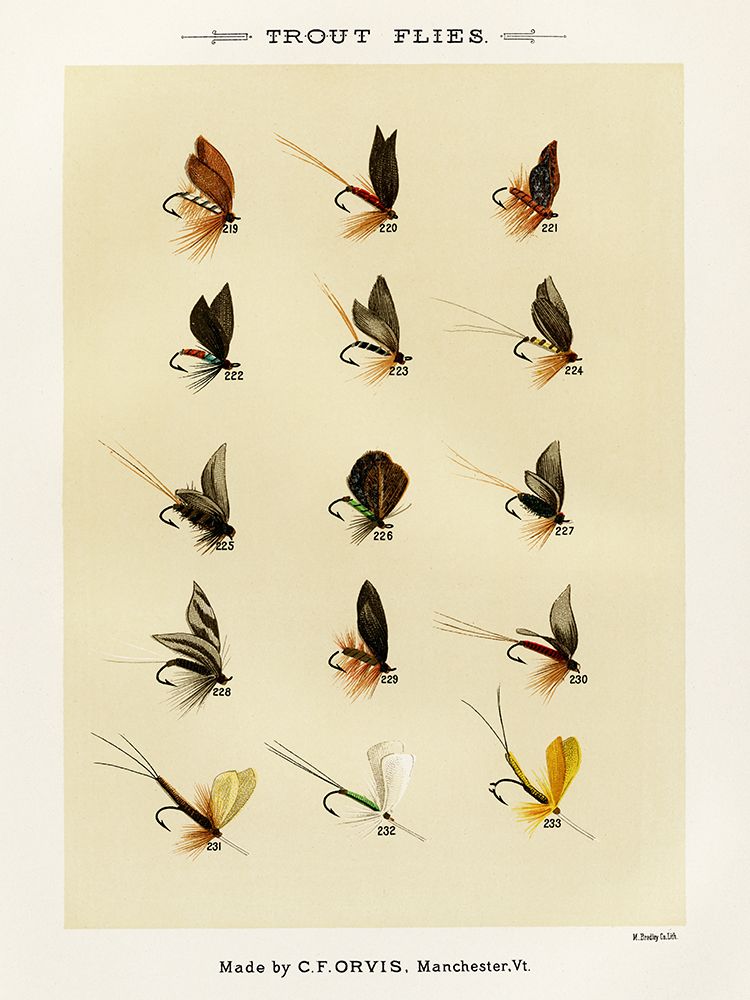 Trout Fishing Flies VII from Favorite Flies and Their Histories art print by Mary Orvis Marbury for $57.95 CAD
