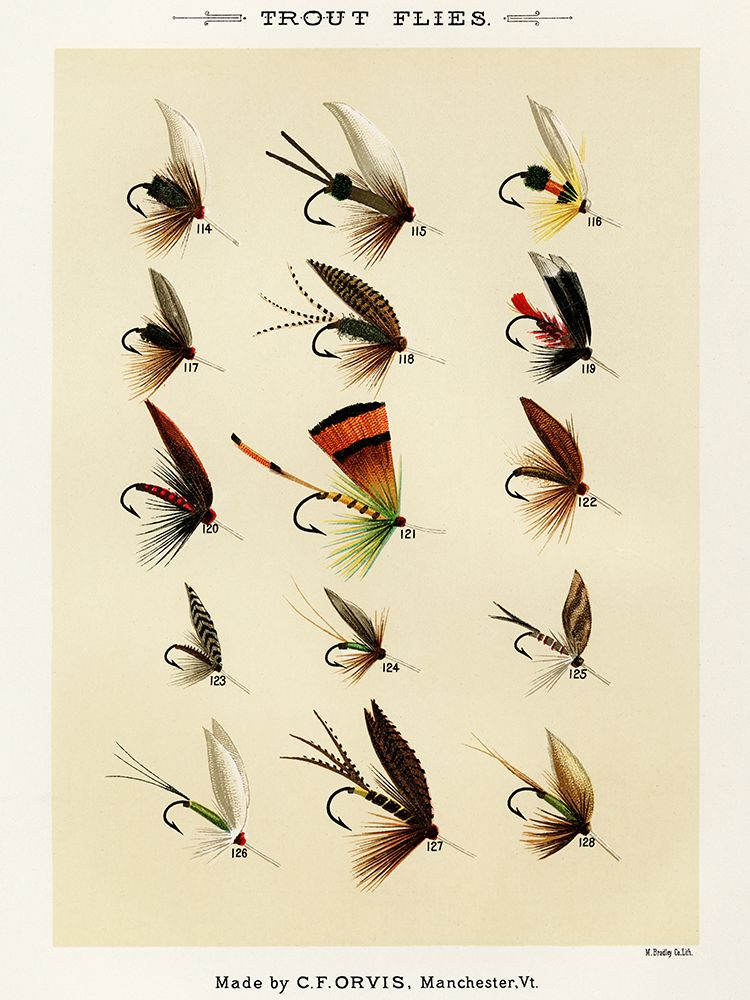 Trout Fishing Flies VIII from Favorite Flies and Their Histories art print by Mary Orvis Marbury for $57.95 CAD