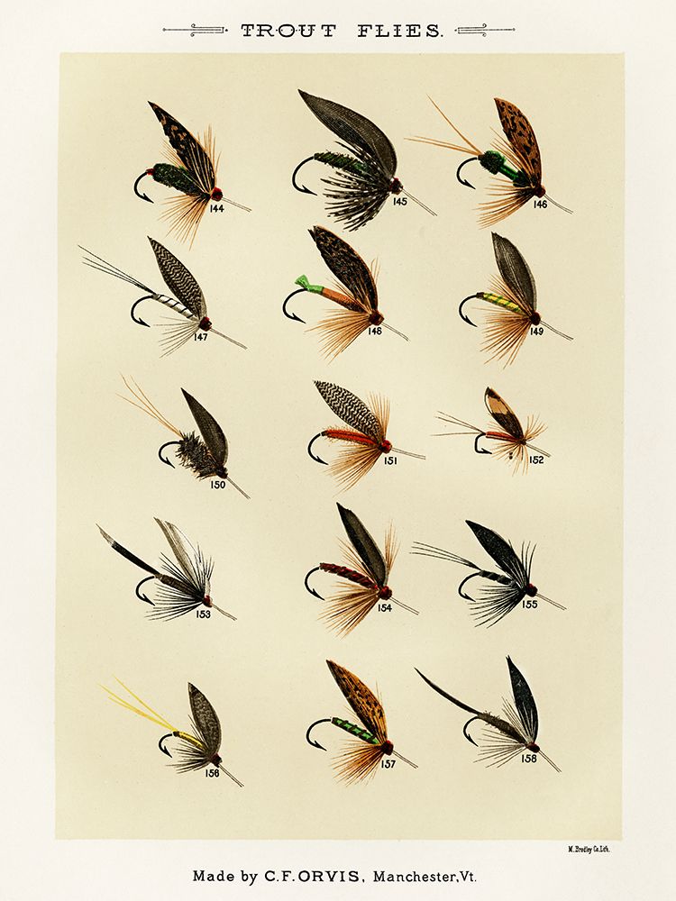 Trout Fishing Flies IX from Favorite Flies and Their Histories art print by Mary Orvis Marbury for $57.95 CAD