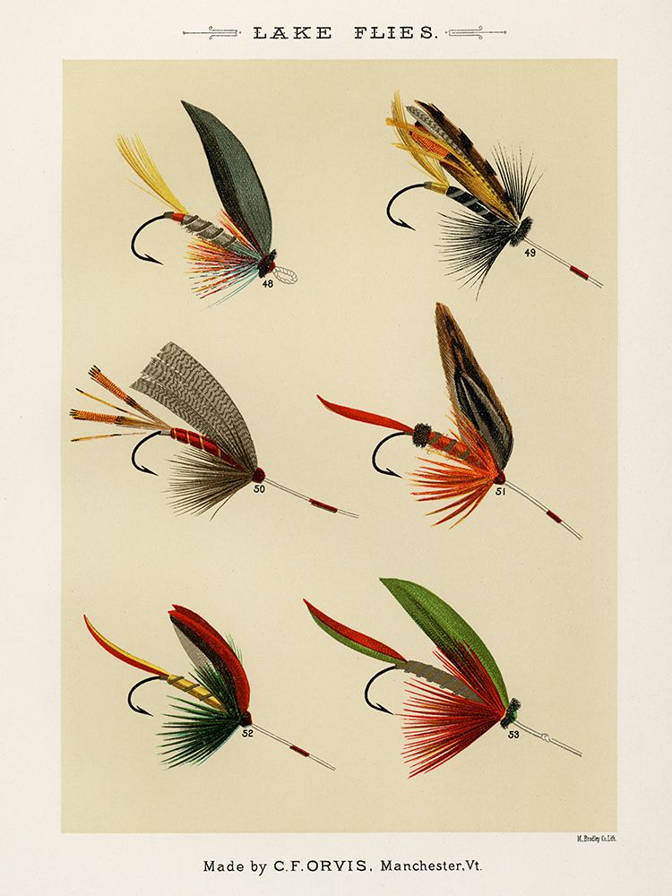 Lake Fishing Flies VII from Favorite Flies and Their Histories art print by Mary Orvis Marbury for $57.95 CAD