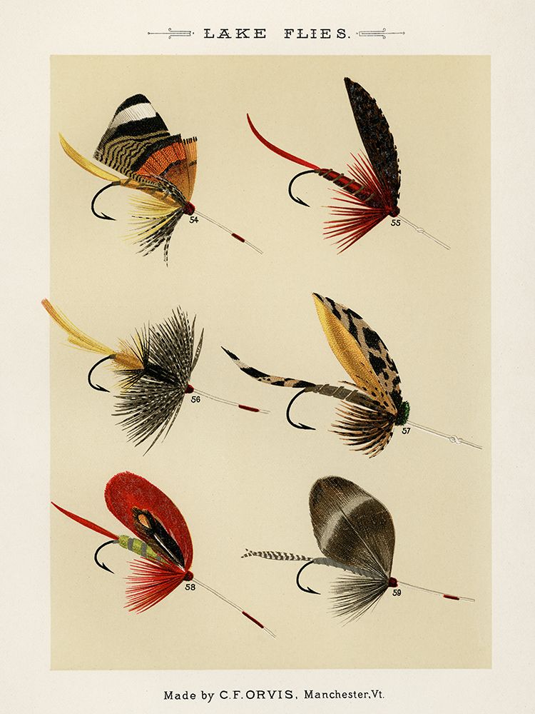 Lake Fishing Flies VIII from Favorite Flies and Their Histories art print by Mary Orvis Marbury for $57.95 CAD