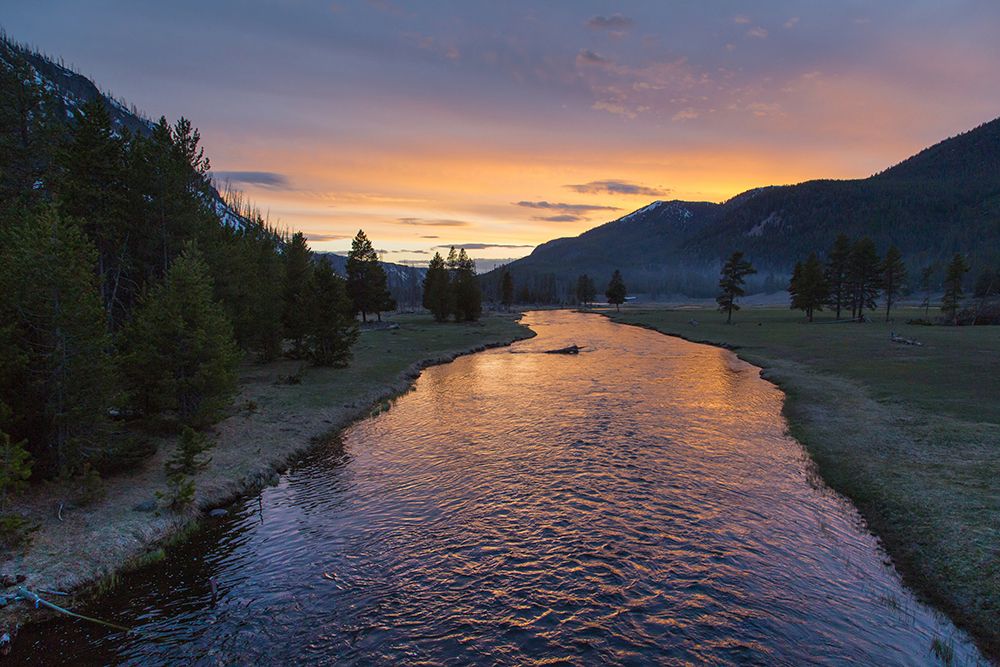 Sunset on the Madison River, Yellowstone National Park art print by Neal Herbert for $57.95 CAD