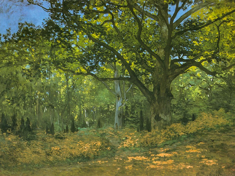 Bodmer Oak at Bas-Breau 1865 art print by Claude Monet for $57.95 CAD