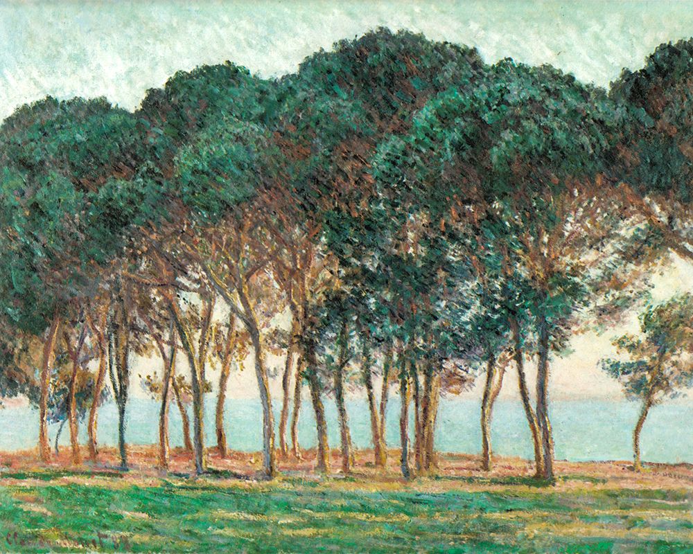 Umbrella Pines-Antibes 1888 art print by Claude Monet for $57.95 CAD