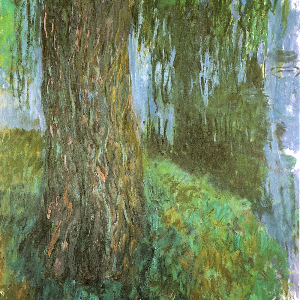 Willow Tree and Pond 1916 art print by Claude Monet for $57.95 CAD