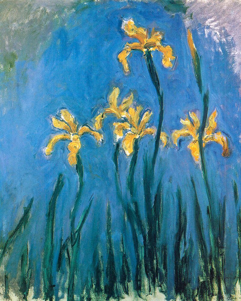 Yellow Irises 1924 art print by Claude Monet for $57.95 CAD