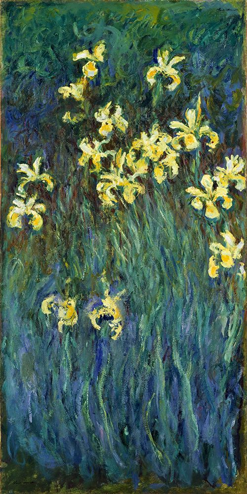 Yellow Irises 1914 art print by Claude Monet for $57.95 CAD