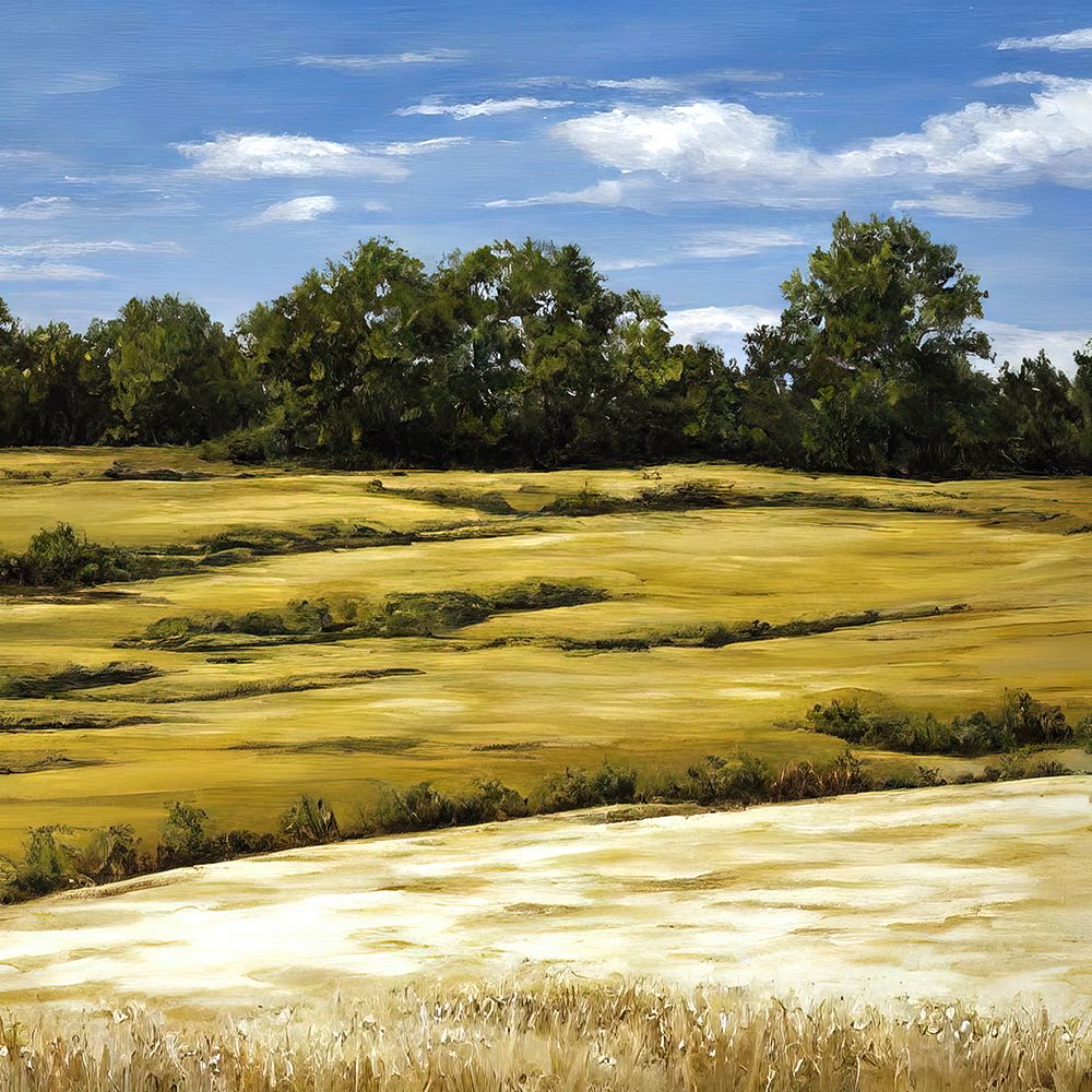Hay Field art print by Alpenglow Workshop for $57.95 CAD