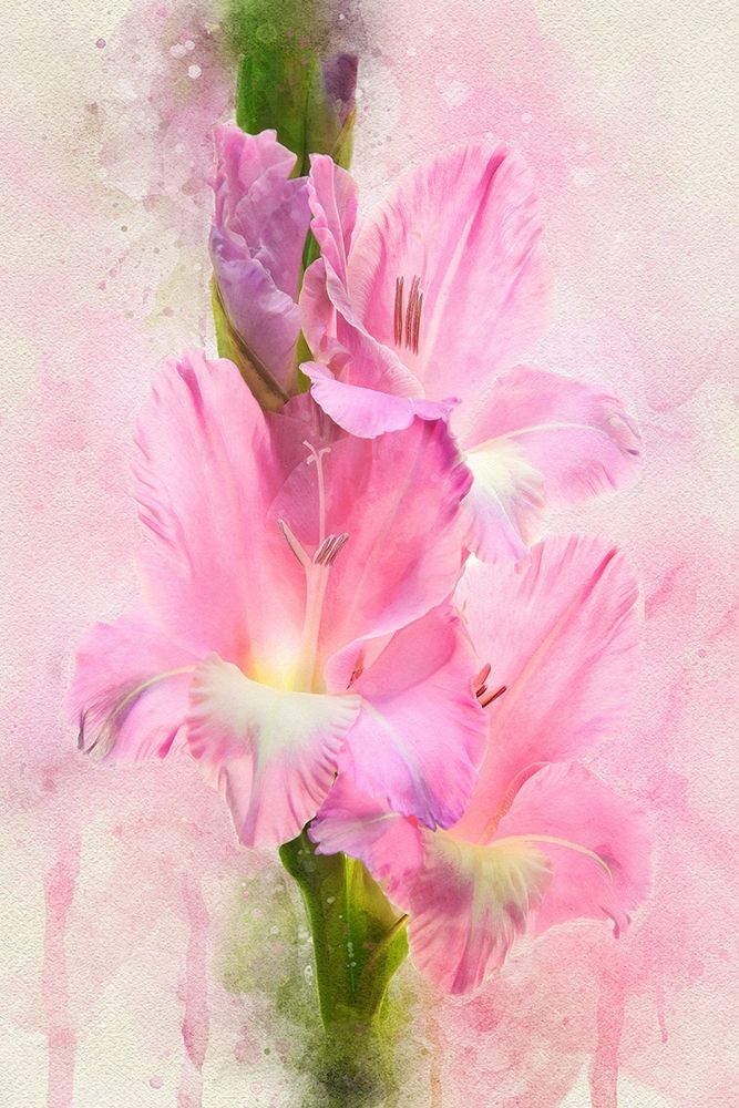 Flowering Trifecta art print by Leda Robertson for $57.95 CAD