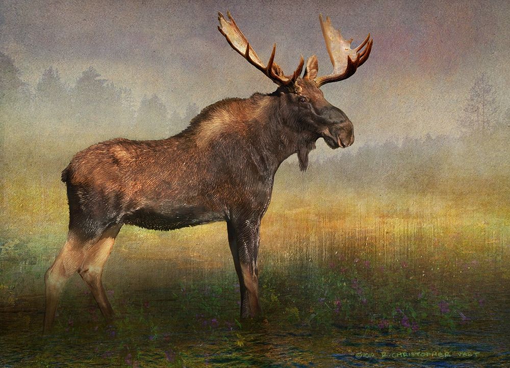 Moose in Fog and Flowers art print by Christopher Vest for $57.95 CAD