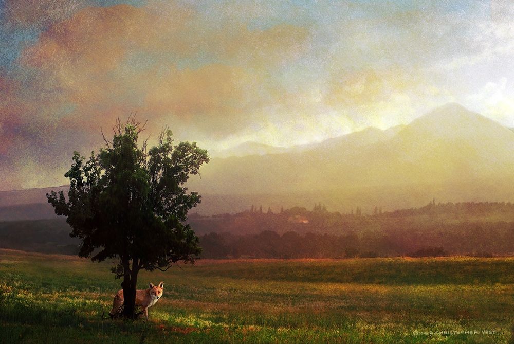 Tuscan Dawn Fox art print by Christopher Vest for $57.95 CAD