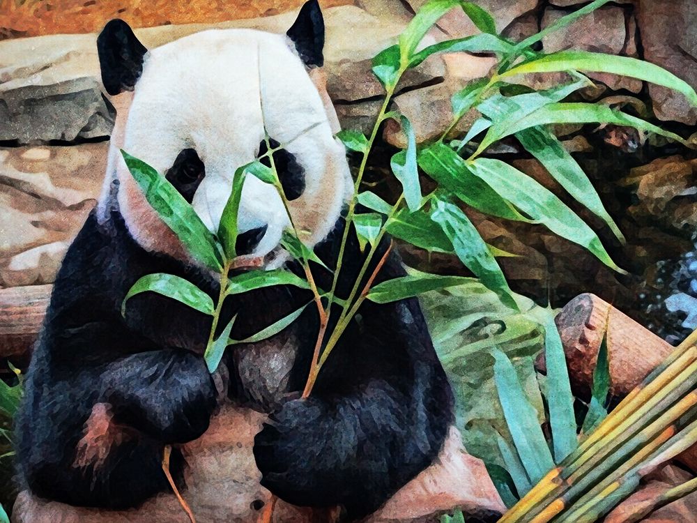Giant Panda Bamboo Snack art print by Ashley Aldridge for $57.95 CAD