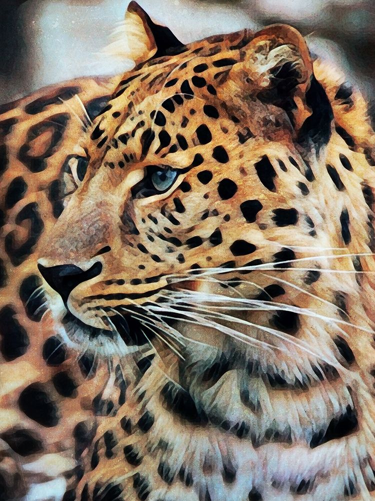 Leopard in Longing art print by Ashley Aldridge for $57.95 CAD