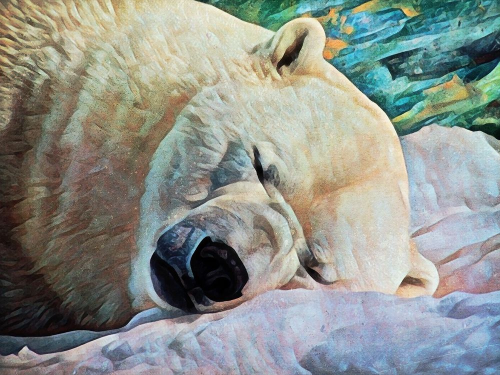 Polar Bear Dreaming art print by Ashley Aldridge for $57.95 CAD