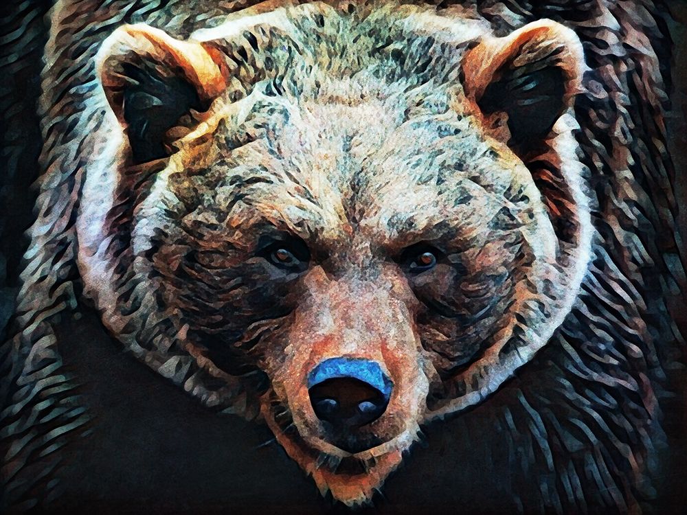 Brown Bear Stare art print by Ashley Aldridge for $57.95 CAD