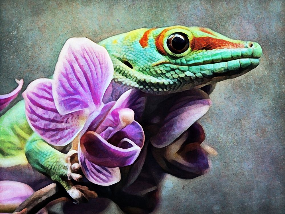 Green Gecko Orchid Grab art print by Ashley Aldridge for $57.95 CAD