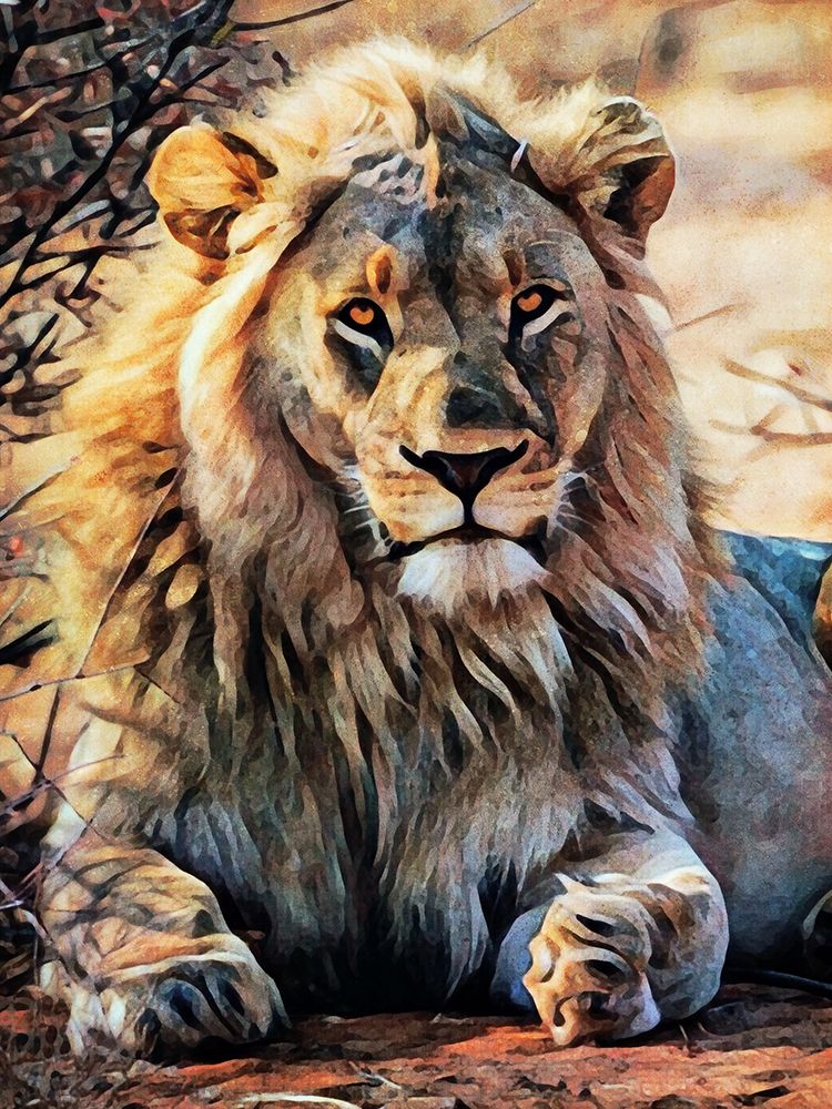 Lion Lounging Around art print by Ashley Aldridge for $57.95 CAD