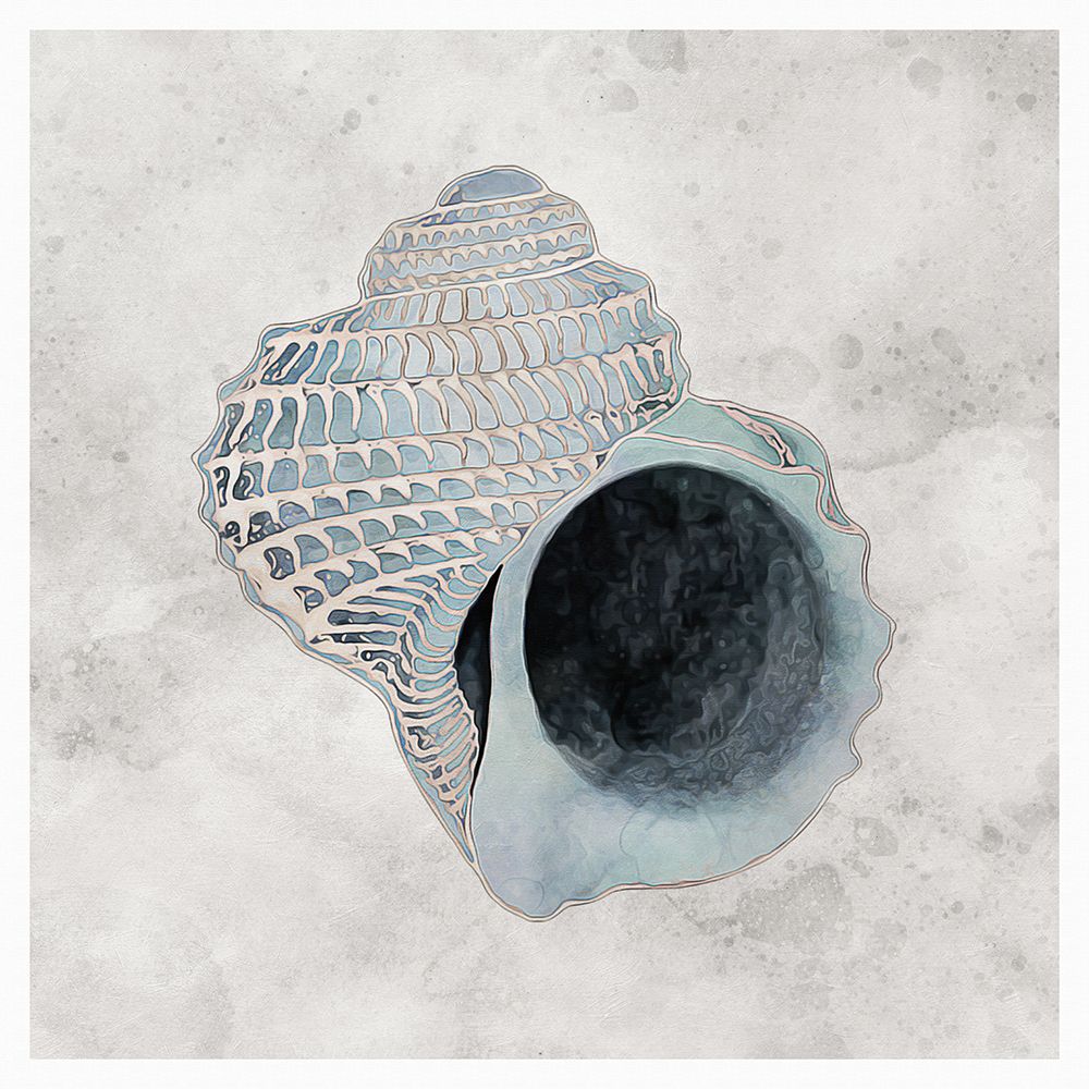 Blue Watercolour Seashells I art print by Ashley Aldridge for $57.95 CAD