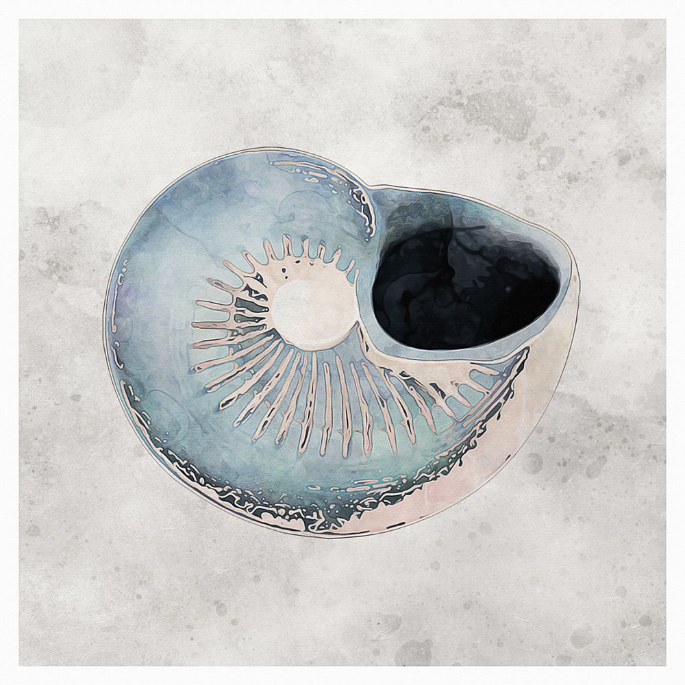 Blue Watercolour Seashells III art print by Ashley Aldridge for $57.95 CAD