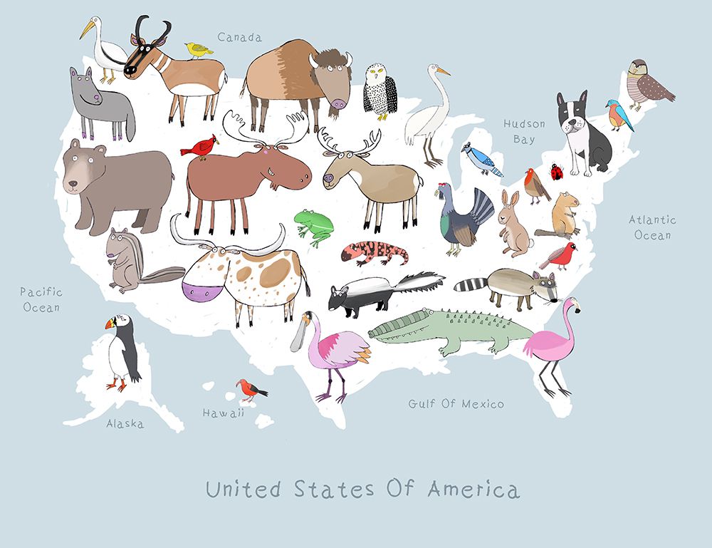 United States of America art print by Carla Daly for $57.95 CAD