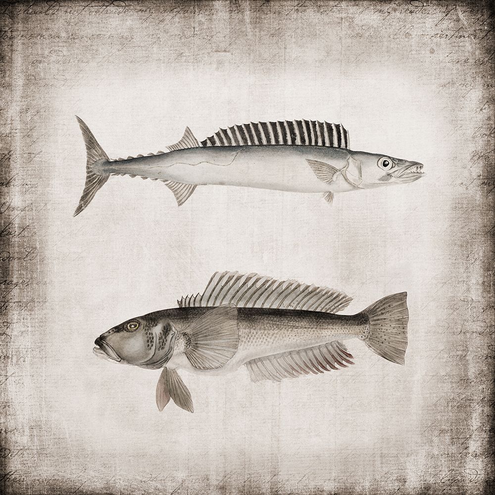 Vintage Sea Dwellers I art print by Andrea Haase for $57.95 CAD
