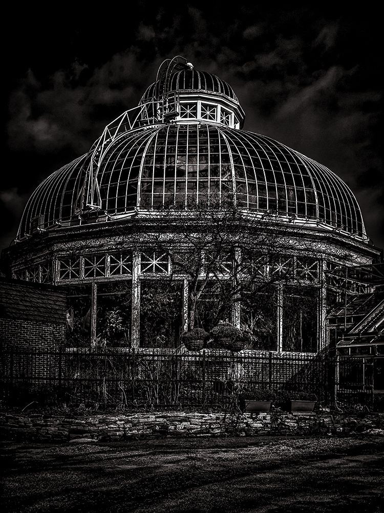 Allan Gardens Conservatory Toronto Black and White art print by Brian Carson for $57.95 CAD