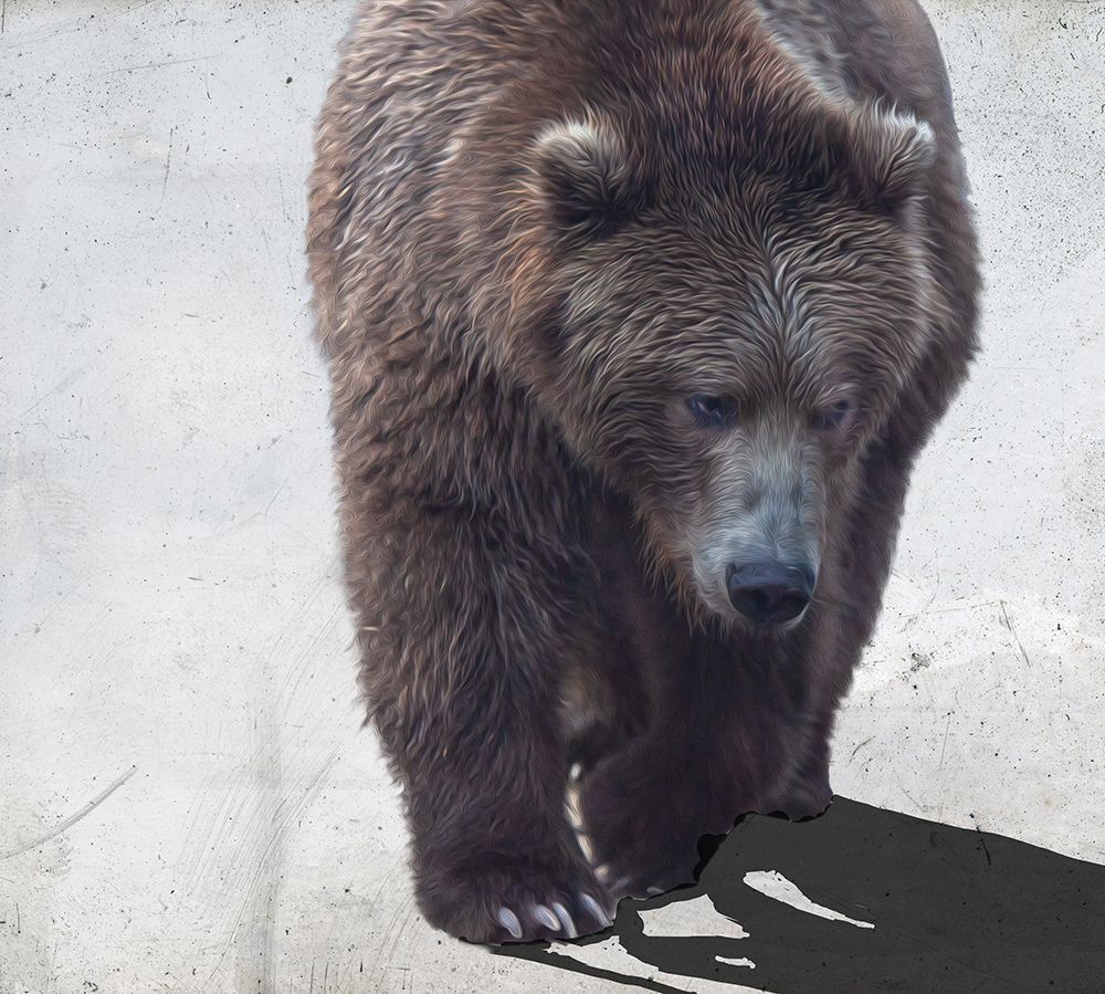 Bear I art print by Susan Friedman for $57.95 CAD