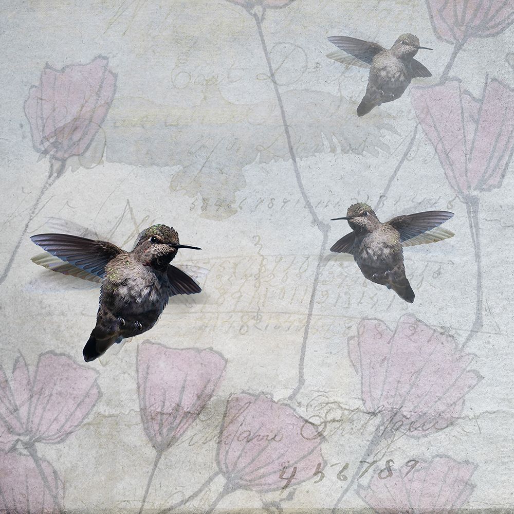 Hummingbird I art print by Susan Friedman for $57.95 CAD