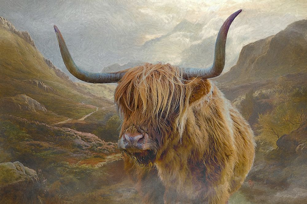 Bovine Highlander IV art print by Steve Hunziker for $57.95 CAD