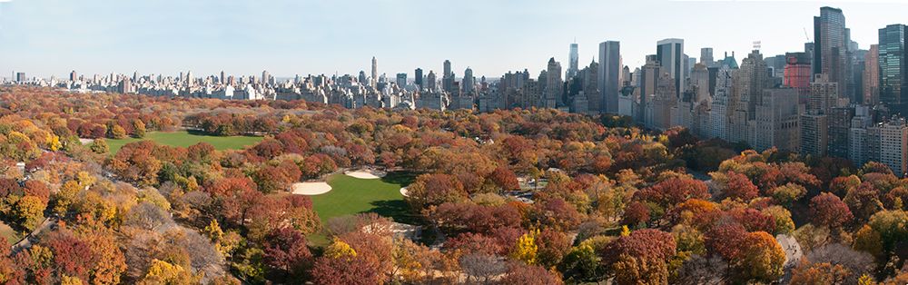 Central Park Panorama art print by Richard Silver for $57.95 CAD