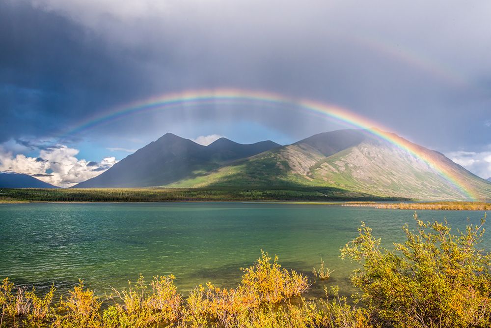 Complete Yukon Rainbow art print by Richard Silver for $57.95 CAD