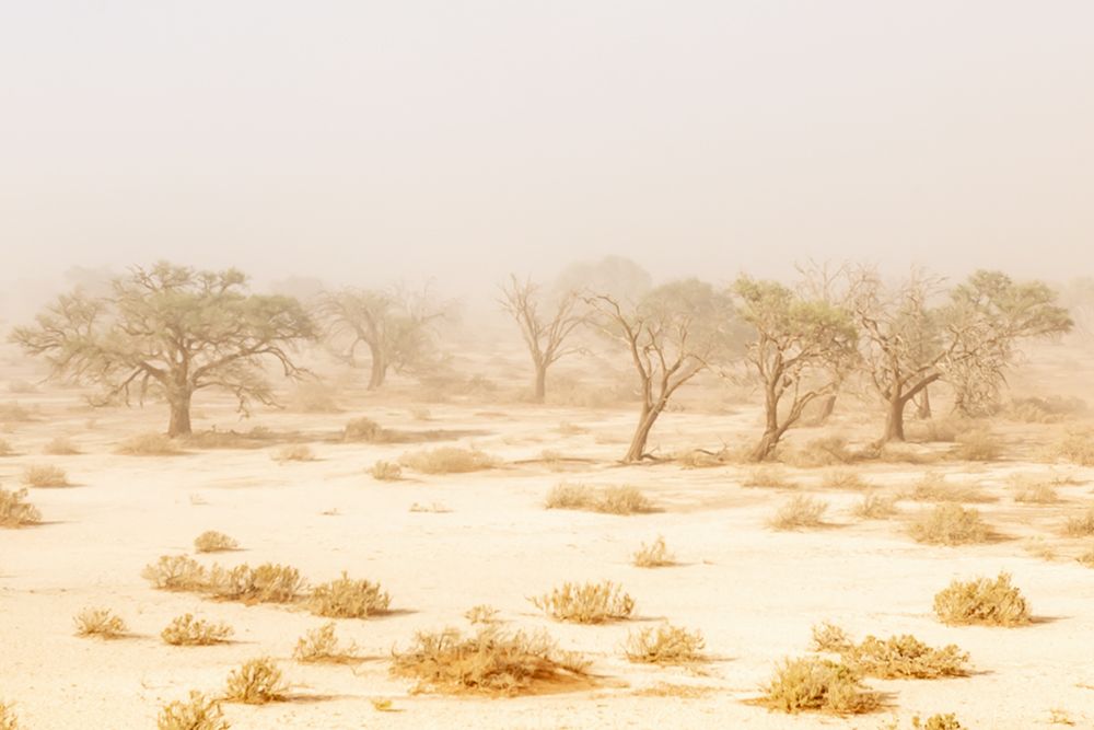 Namibia Dust Storm art print by Richard Silver for $57.95 CAD