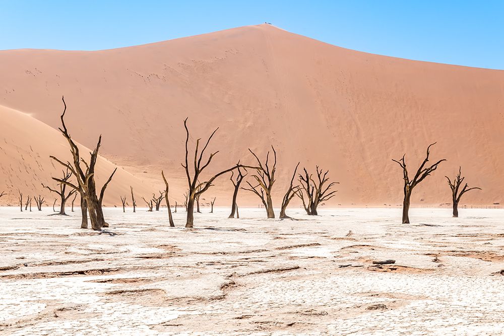 Namibian Dead Trees 2 art print by Richard Silver for $57.95 CAD