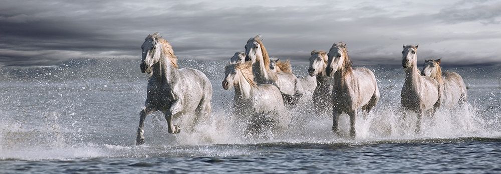 Horses Running at the Beach art print by Jorge Llovet for $57.95 CAD