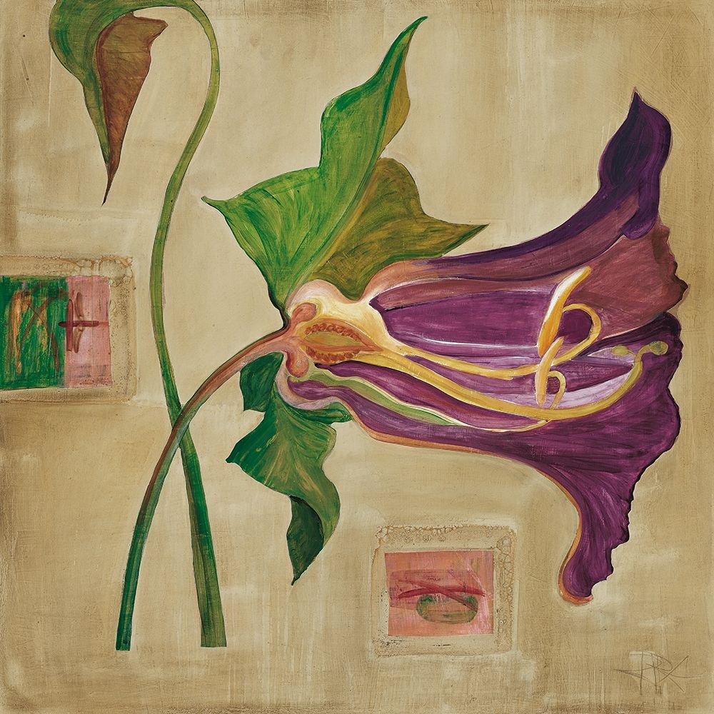 Blutenanatomie: Amaryllis art print by Rose Richter-Armgart for $57.95 CAD