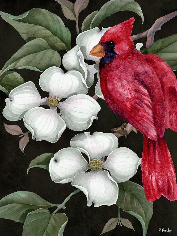 Dogwood - Cardinal art print by Paul Brent for $57.95 CAD