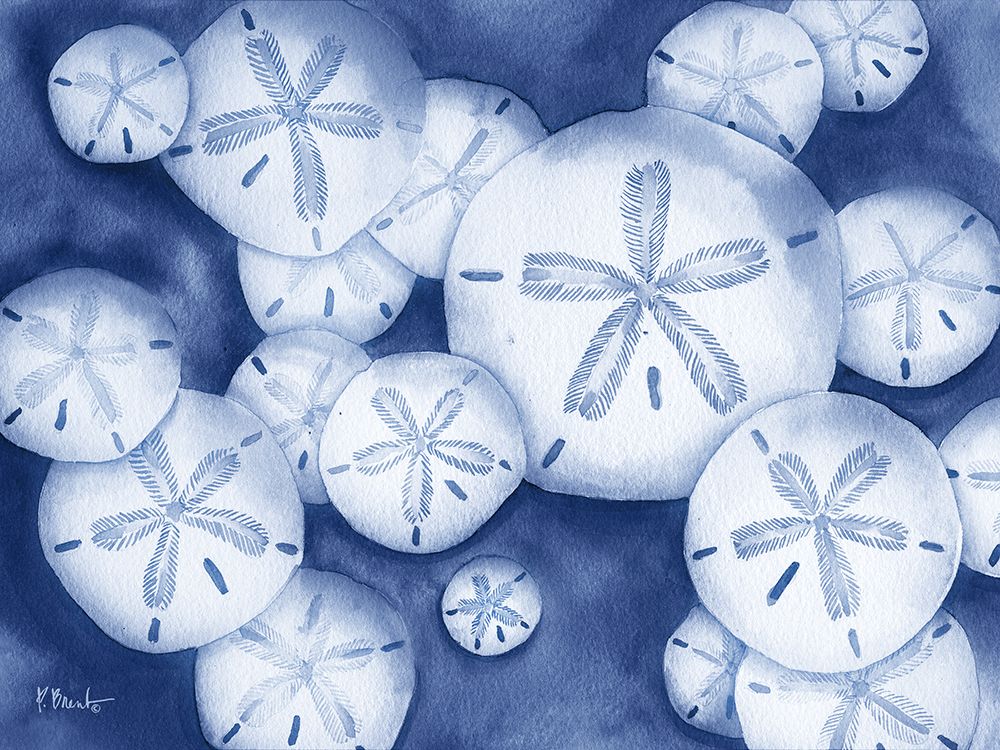 Layered Sand Dollars - Indigo art print by Paul Brent for $57.95 CAD