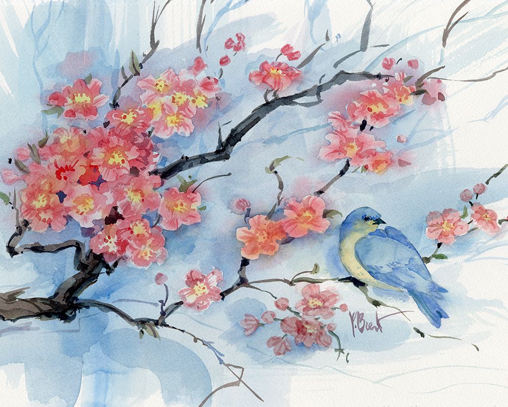 Spring Cherry Blossoms - Bluebird art print by Paul Brent for $57.95 CAD