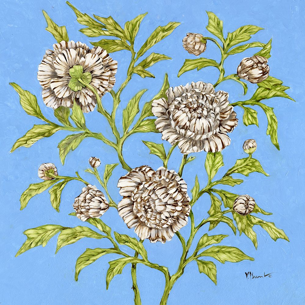 White Peonies art print by Paul Brent for $57.95 CAD